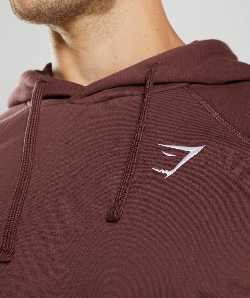 Men's Gymshark Crest Hoodie Brown | CA 8N50AD